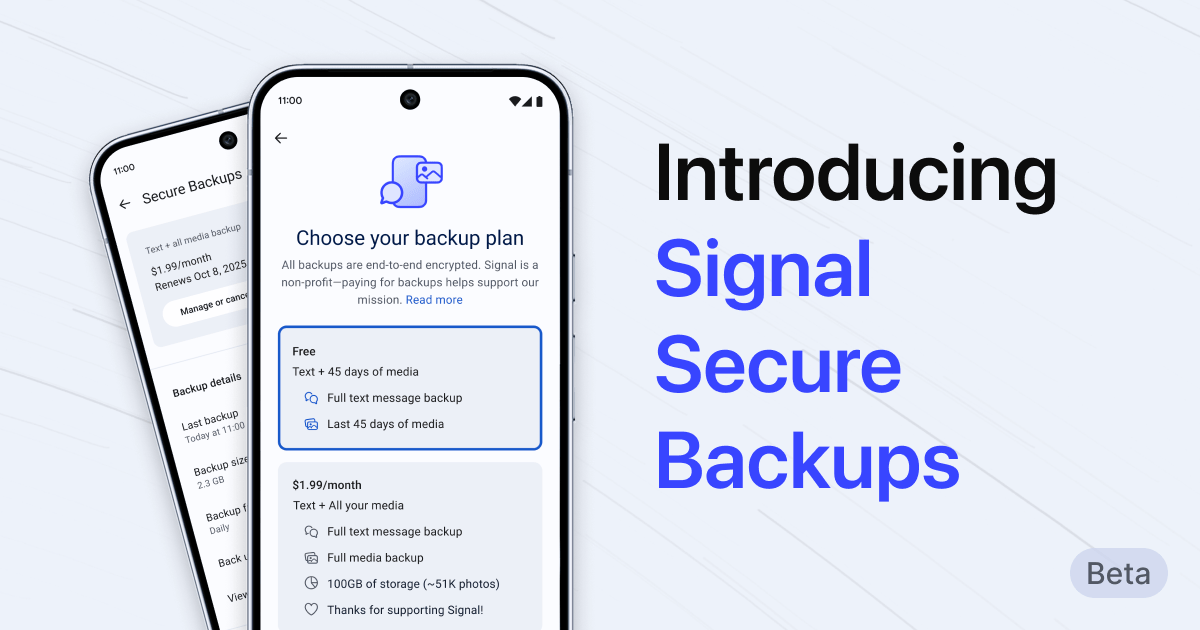 GoogleVoice overseas data detection